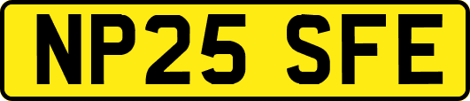 NP25SFE