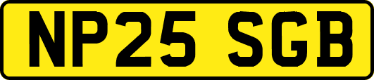NP25SGB