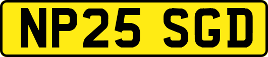 NP25SGD