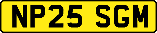NP25SGM