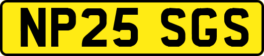 NP25SGS