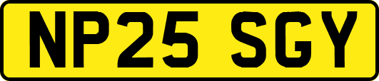 NP25SGY