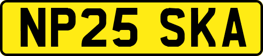 NP25SKA
