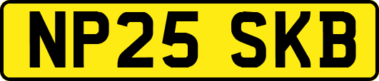 NP25SKB