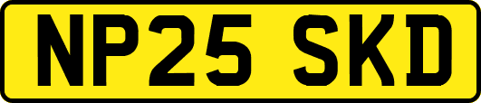 NP25SKD