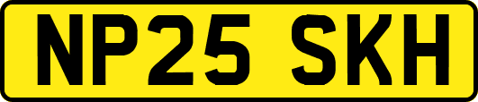 NP25SKH