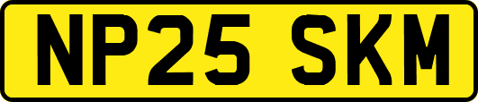 NP25SKM