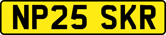 NP25SKR