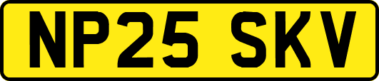 NP25SKV