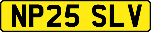NP25SLV