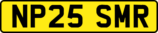 NP25SMR