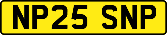 NP25SNP