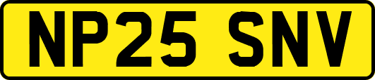 NP25SNV