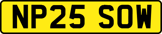 NP25SOW