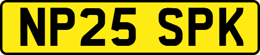 NP25SPK