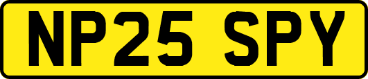 NP25SPY