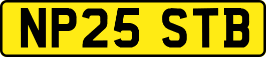 NP25STB