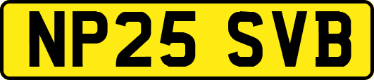 NP25SVB