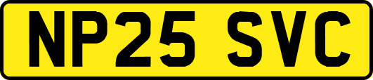 NP25SVC