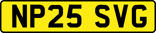 NP25SVG