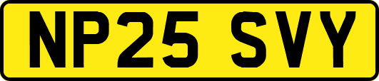 NP25SVY