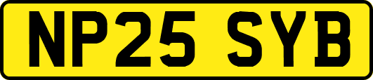 NP25SYB