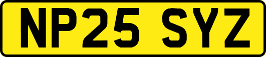 NP25SYZ