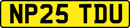 NP25TDU