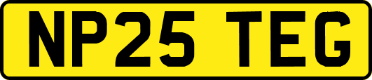 NP25TEG