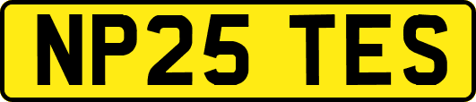 NP25TES