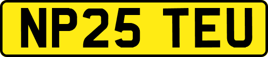 NP25TEU