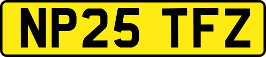 NP25TFZ