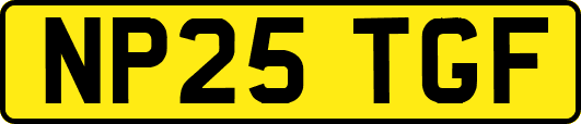 NP25TGF