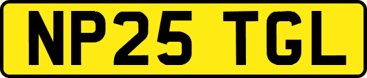 NP25TGL