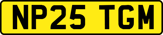 NP25TGM