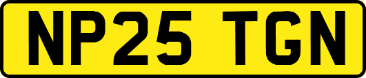 NP25TGN