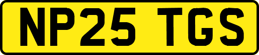 NP25TGS
