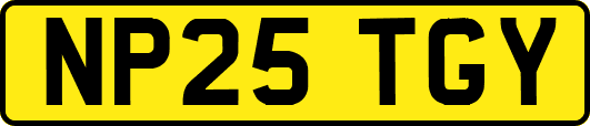 NP25TGY