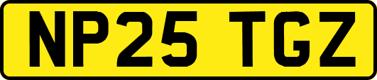NP25TGZ