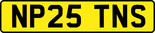 NP25TNS