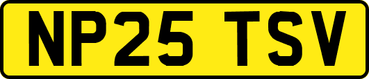 NP25TSV