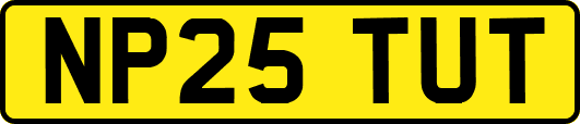 NP25TUT