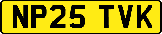 NP25TVK