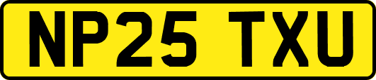 NP25TXU