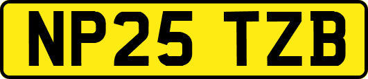 NP25TZB