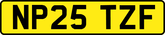 NP25TZF
