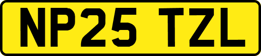 NP25TZL