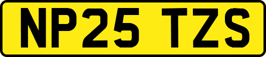 NP25TZS
