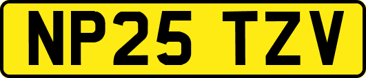 NP25TZV