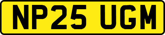 NP25UGM